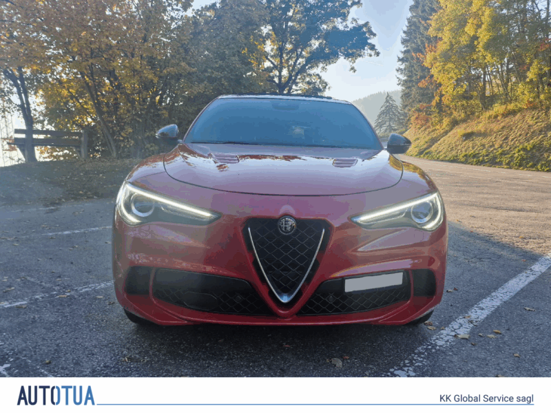 ALFA ROMEO Stelvio 2.9 V6 Biturbo Q4 Quadrifoglio Sky