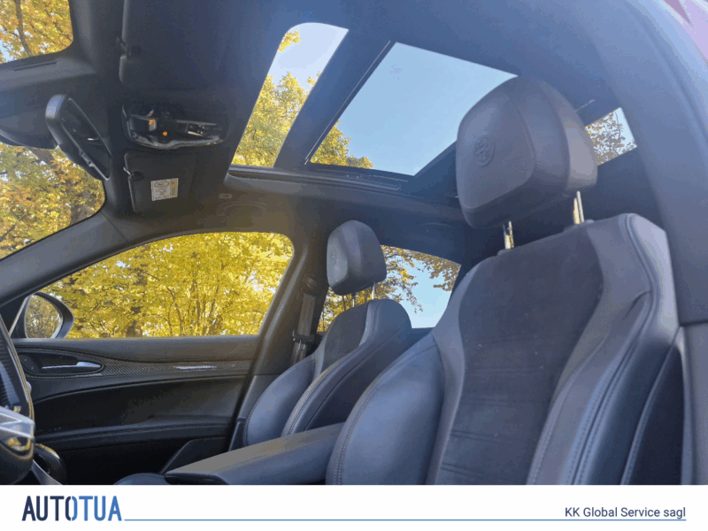 ALFA ROMEO Stelvio 2.9 V6 Biturbo Q4 Quadrifoglio Sky